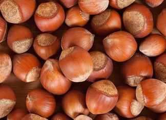 Fındık, Badem ve Ceviz Sağlıklı Beslenmenin Vazgeçilmez Üçlüsü Sağlıklı beslenme denildiğinde akla gelen ilk doğal gıdalar arasında fındık, badem ve ceviz yer alıyor. Yüzyıllardır hem geleneksel mutfaklarda hem de modern beslenme programlarında önemli bir konuma sahip olan bu kuruyemişler, zengin besin değerleriyle dikkat çekiyor. Günlük hayatta ara öğünlerden kahvaltı sofralarına, tatlılardan salatalara kadar pek çok alanda kullanılan bu ürünler, doğal yapıları sayesinde dengeli beslenmenin temel taşlarından biri olarak görülüyor. Konulu bir haber görseli.