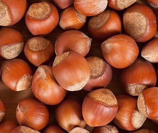 Fındık, Badem ve Ceviz Sağlıklı Beslenmenin Vazgeçilmez Üçlüsü Sağlıklı beslenme denildiğinde akla gelen ilk doğal gıdalar arasında fındık, badem ve ceviz yer alıyor. Yüzyıllardır hem geleneksel mutfaklarda hem de modern beslenme programlarında önemli bir konuma sahip olan bu kuruyemişler, zengin besin değerleriyle dikkat çekiyor. Günlük hayatta ara öğünlerden kahvaltı sofralarına, tatlılardan salatalara kadar pek çok alanda kullanılan bu ürünler, doğal yapıları sayesinde dengeli beslenmenin temel taşlarından biri olarak görülüyor. Konulu bir haber görseli.